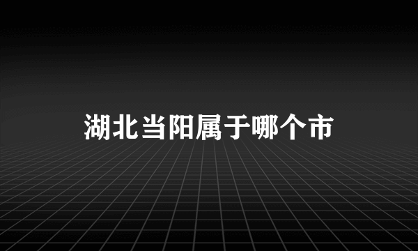 湖北当阳属于哪个市