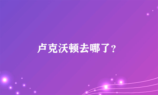 卢克沃顿去哪了？