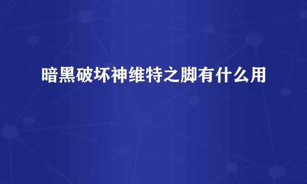 暗黑破坏神维特之脚有什么用