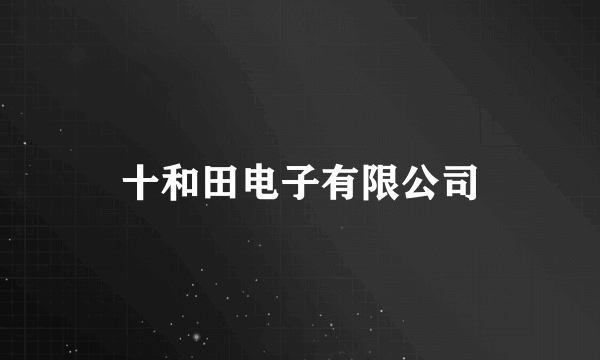 十和田电子有限公司