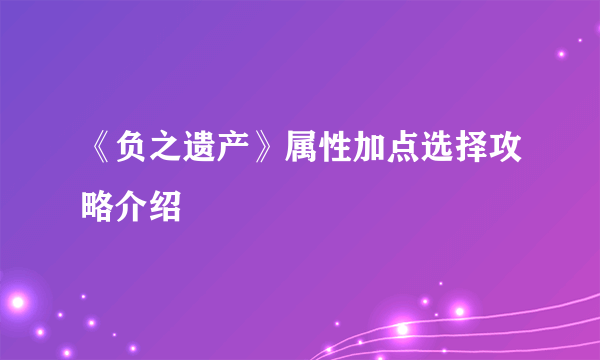 《负之遗产》属性加点选择攻略介绍