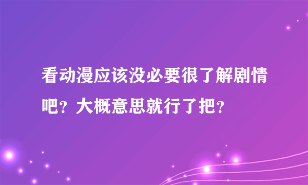 看动漫应该没必要很了解剧情吧？大概意思就行了把？
