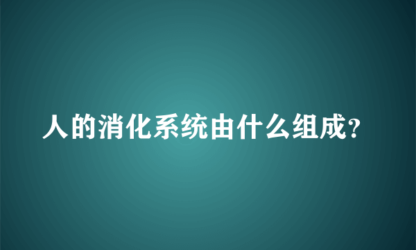 人的消化系统由什么组成？