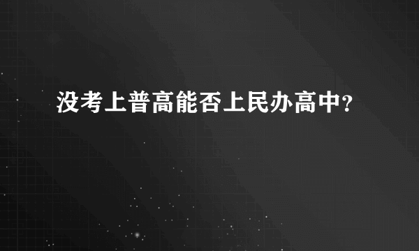 没考上普高能否上民办高中？