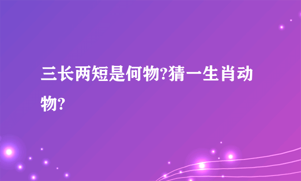 三长两短是何物?猜一生肖动物?