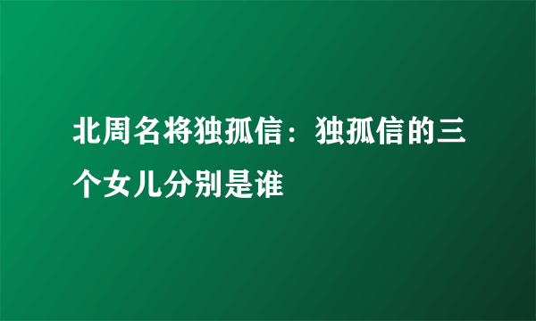 北周名将独孤信：独孤信的三个女儿分别是谁