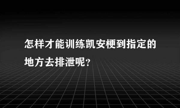 怎样才能训练凯安梗到指定的地方去排泄呢？