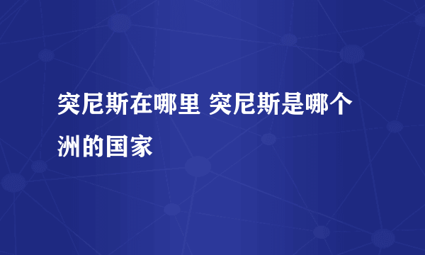 突尼斯在哪里 突尼斯是哪个洲的国家