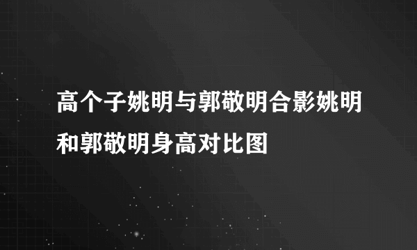 高个子姚明与郭敬明合影姚明和郭敬明身高对比图