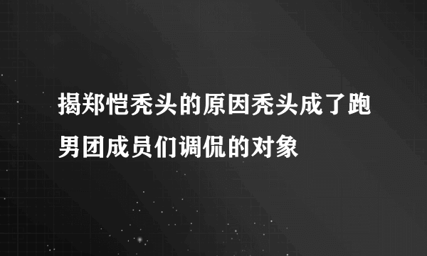 揭郑恺秃头的原因秃头成了跑男团成员们调侃的对象