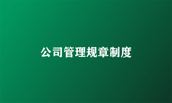 公司管理规章制度