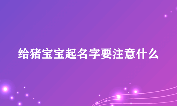 给猪宝宝起名字要注意什么