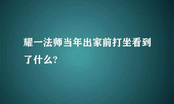 耀一法师当年出家前打坐看到了什么?