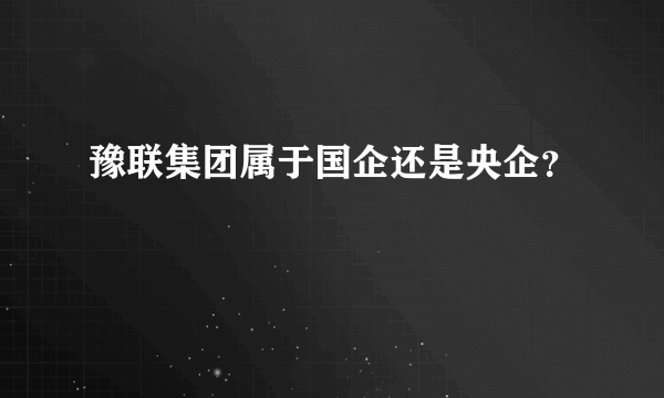 豫联集团属于国企还是央企？