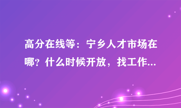高分在线等：宁乡人才市场在哪？什么时候开放，找工作一般去哪？