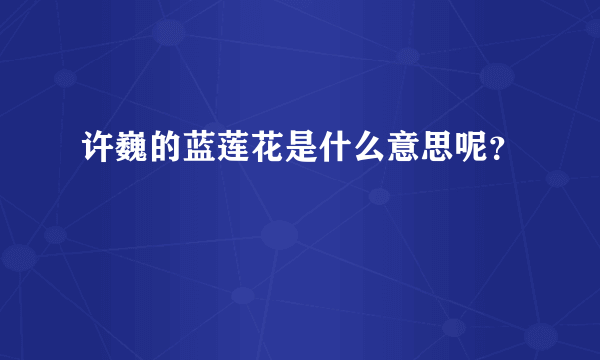 许巍的蓝莲花是什么意思呢？