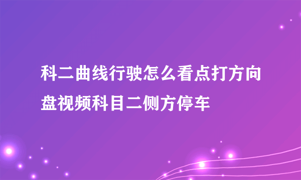 科二曲线行驶怎么看点打方向盘视频科目二侧方停车