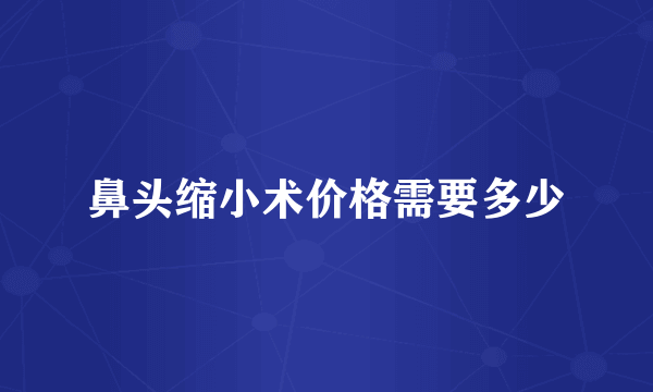 鼻头缩小术价格需要多少
