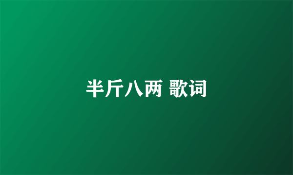 半斤八两 歌词