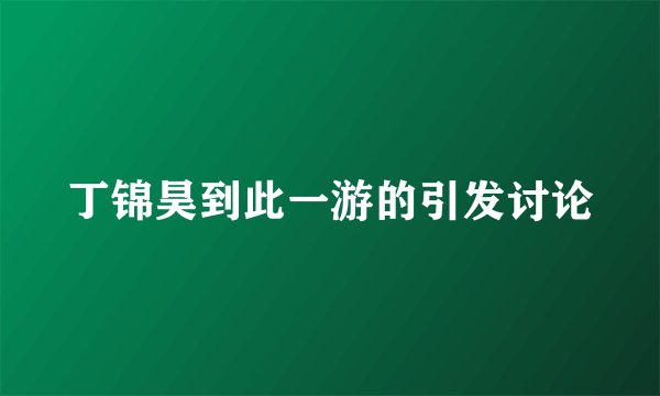 丁锦昊到此一游的引发讨论
