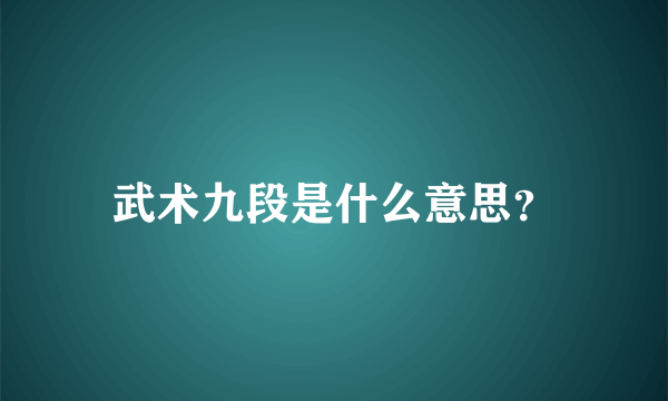 武术九段是什么意思？