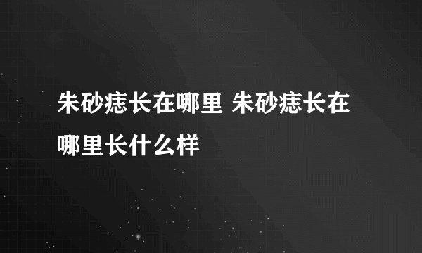 朱砂痣长在哪里 朱砂痣长在哪里长什么样
