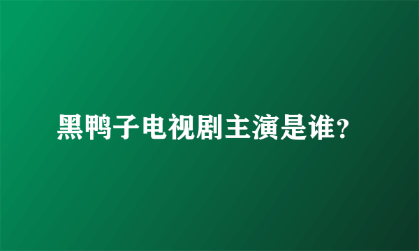 黑鸭子电视剧主演是谁？