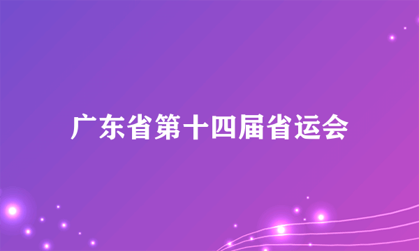 广东省第十四届省运会