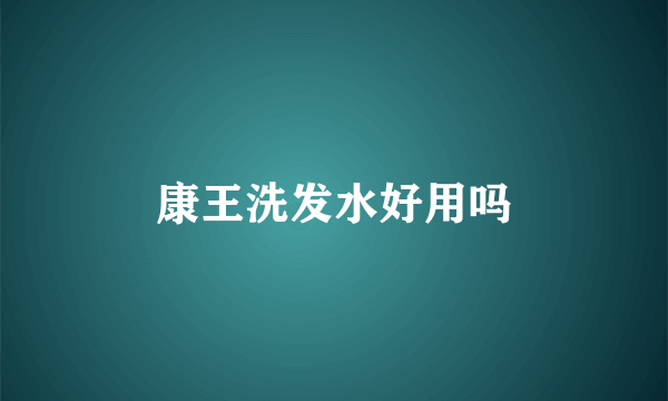 康王洗发水好用吗