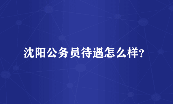 沈阳公务员待遇怎么样？