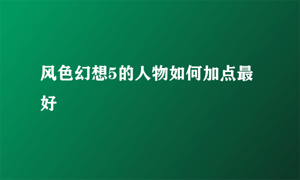 风色幻想5的人物如何加点最好