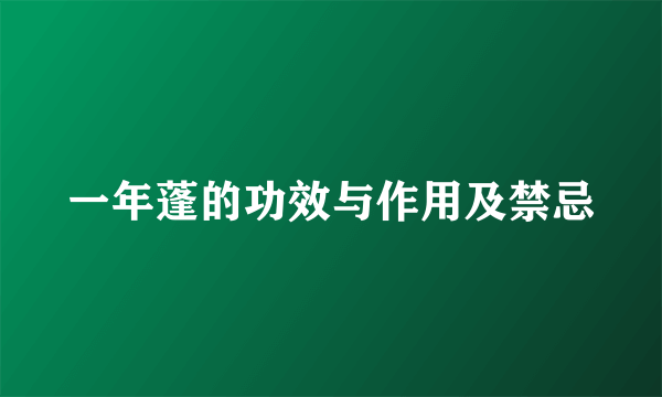 一年蓬的功效与作用及禁忌