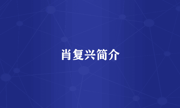 肖复兴简介
