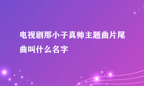 电视剧那小子真帅主题曲片尾曲叫什么名字