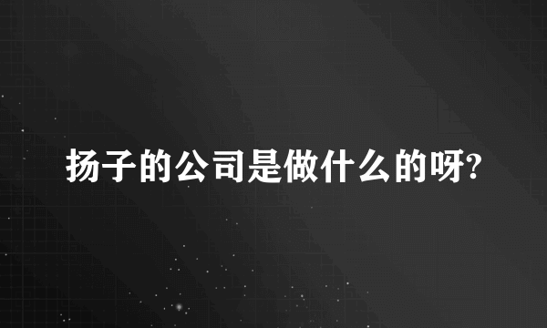 扬子的公司是做什么的呀?