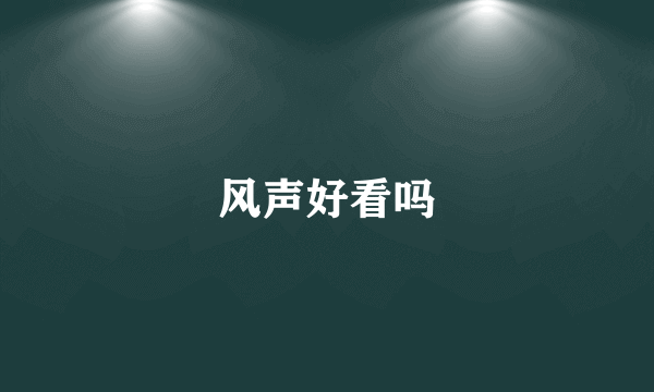 风声好看吗