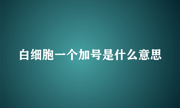 白细胞一个加号是什么意思