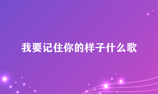 我要记住你的样子什么歌