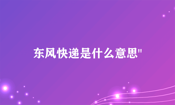东风快递是什么意思