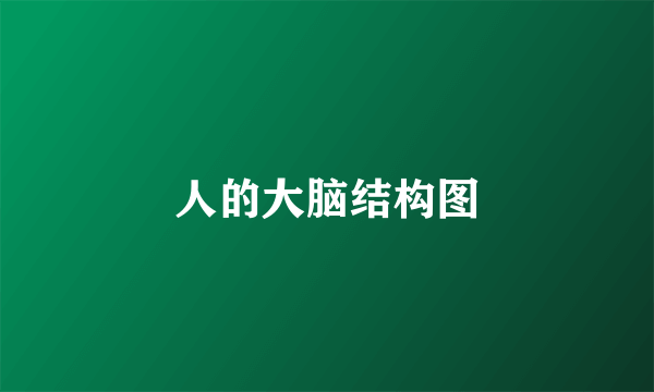 人的大脑结构图