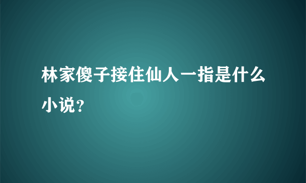 林家傻子接住仙人一指是什么小说？