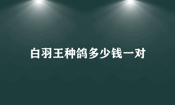 白羽王种鸽多少钱一对