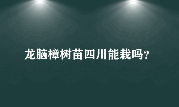 龙脑樟树苗四川能栽吗？