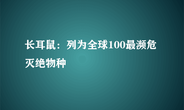 长耳鼠：列为全球100最濒危灭绝物种
