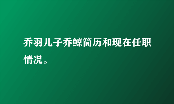 乔羽儿子乔鲸简历和现在任职情况。