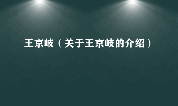 王京岐（关于王京岐的介绍）