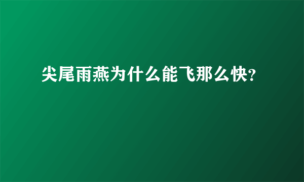 尖尾雨燕为什么能飞那么快？