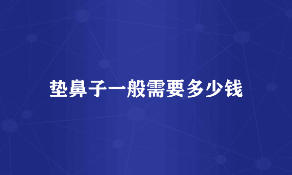 垫鼻子一般需要多少钱