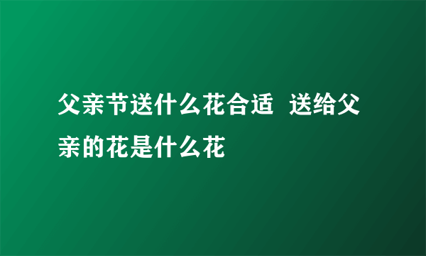 父亲节送什么花合适  送给父亲的花是什么花