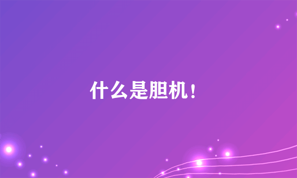 什么是胆机！